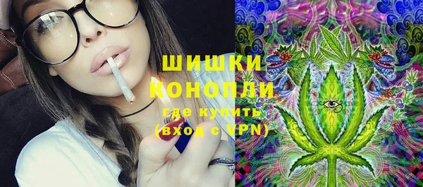 PSILOCYBIN Карпинск