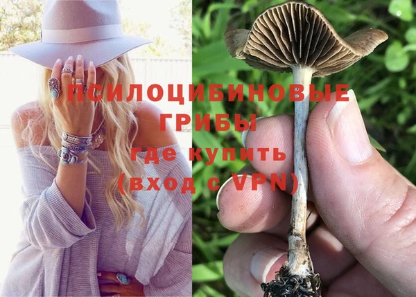 твердый Гусиноозёрск