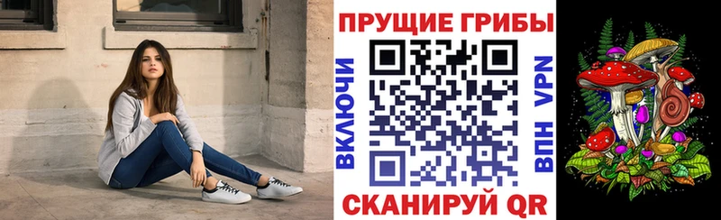 Псилоцибиновые грибы MAGIC MUSHROOMS Грайворон